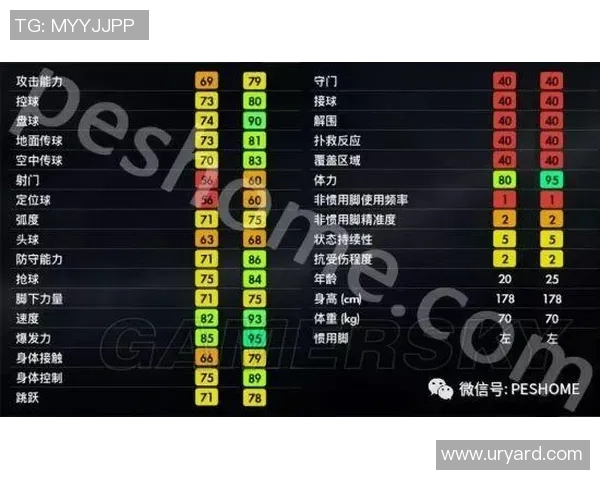 武汉足球队技术对比深度解析与未来发展趋势展望