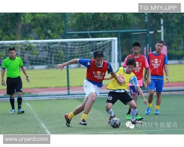 深圳乒乓球队与南京乒乓球队耐力对决赛后深度分析与反思